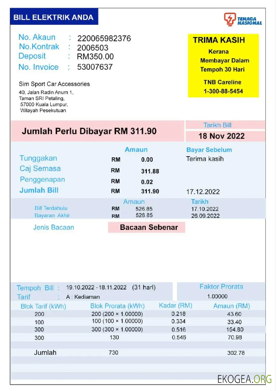 INDIA TENAGA NASIONAL utility bill Word and PDF template
